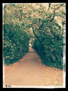 Running In autumn